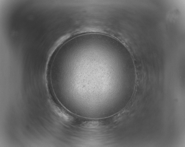 X0000068830104200605081224