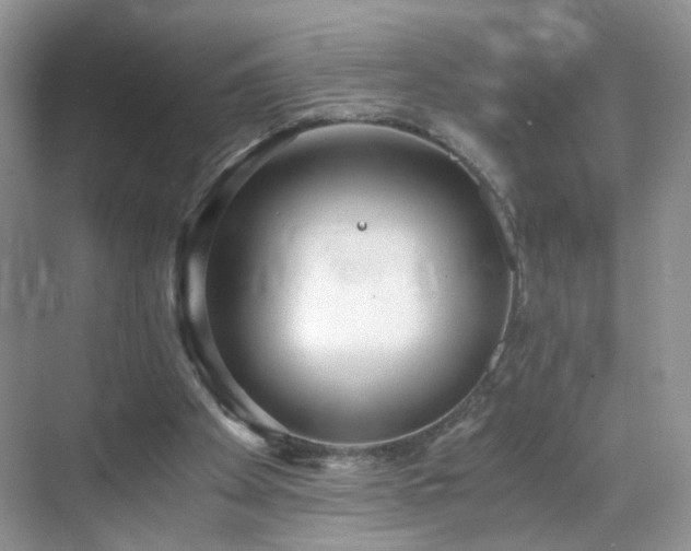 X0000068830105200605081224