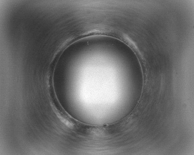 X0000068830106200605081224