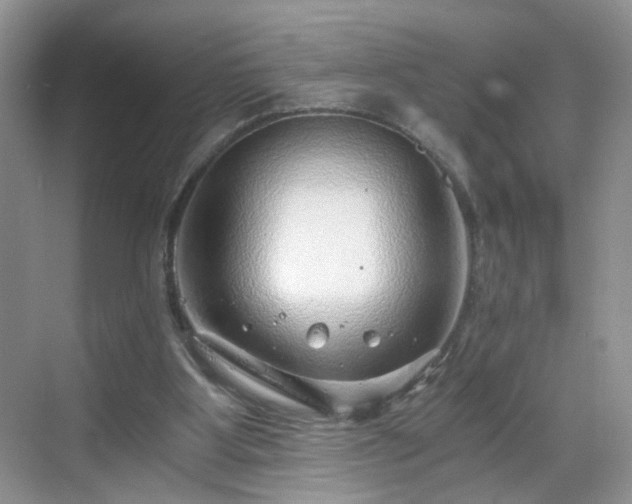 X0000068830107200605081223