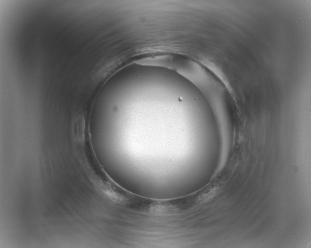 X0000068830109200605081223