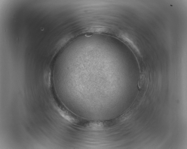 X0000068830110200605081223