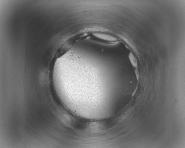 X0000068830111200605081223