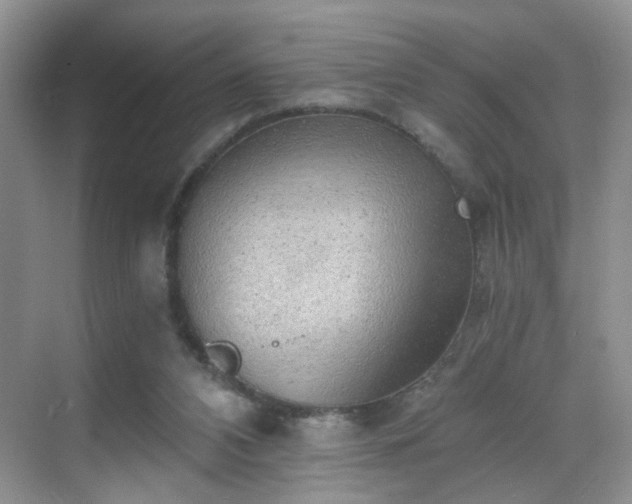 X0000068830112200605081223