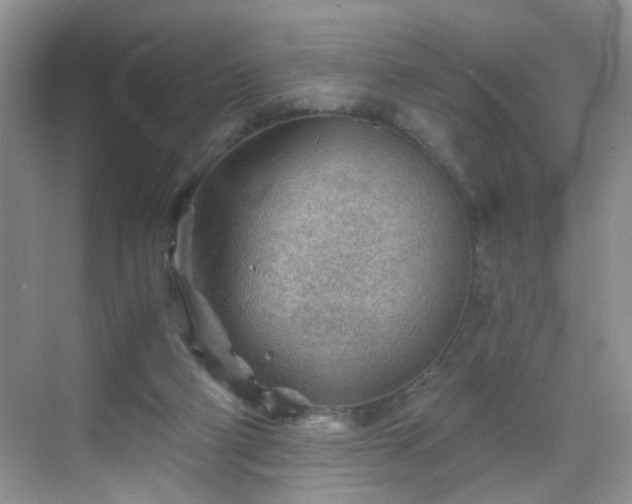 X0000068830114200605081223