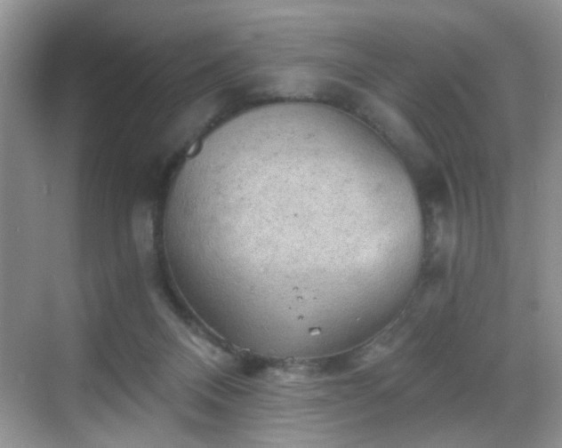 X0000068830120200605081223