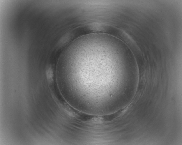 X0000068830124200605081223