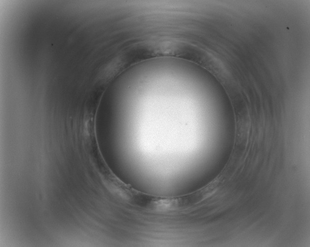 X0000068830126200605081223