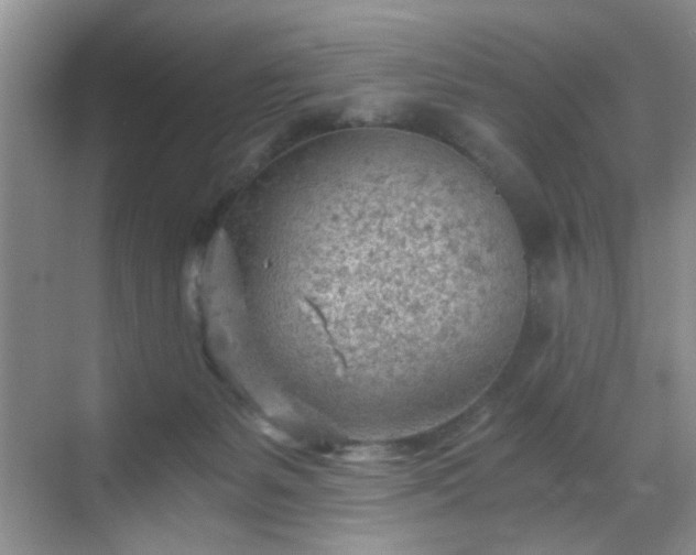 X0000068830127200605081223