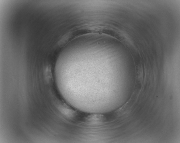 X0000068830128200605081223