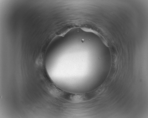 X0000068830129200605081223