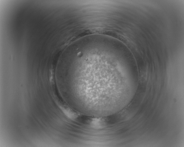 X0000068830130200605081223