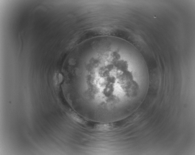 X0000068830131200605081223