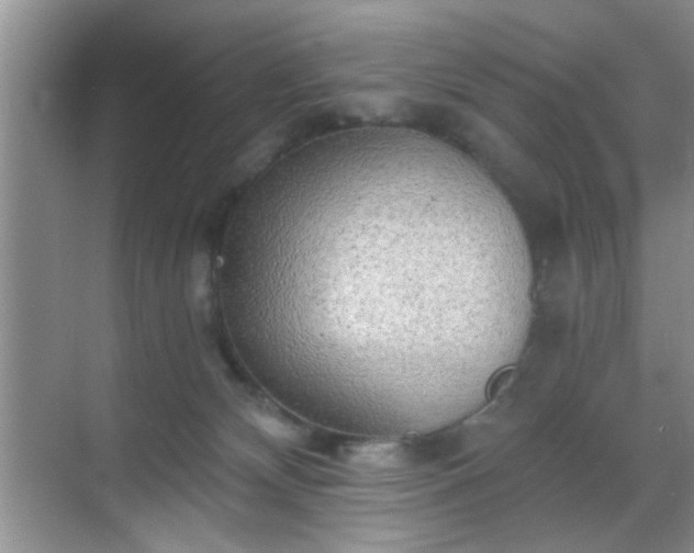 X0000068830132200605081223