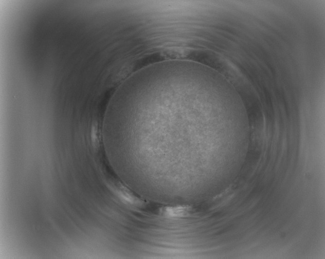 X0000068830134200605081223