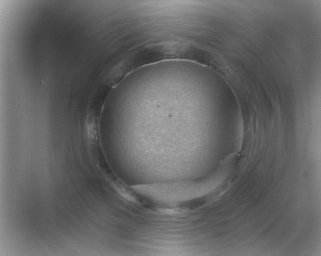 X0000068830137200605081223