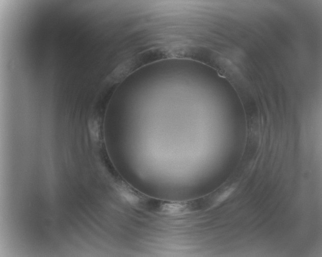 X0000068830139200605081223