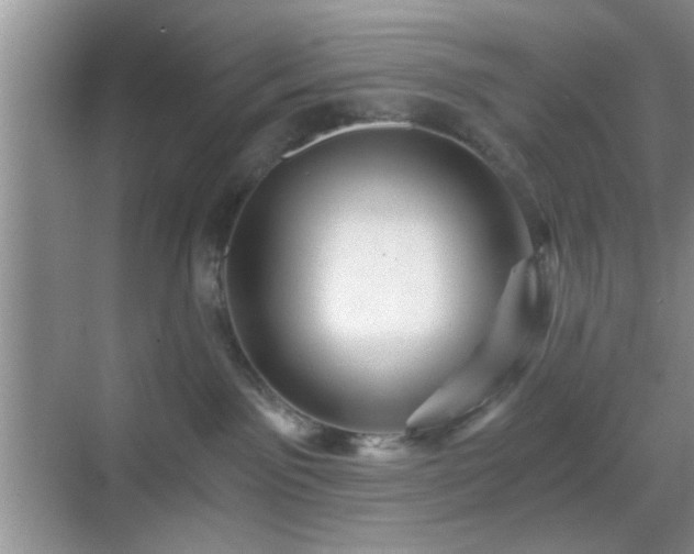 X0000068830141200605081223