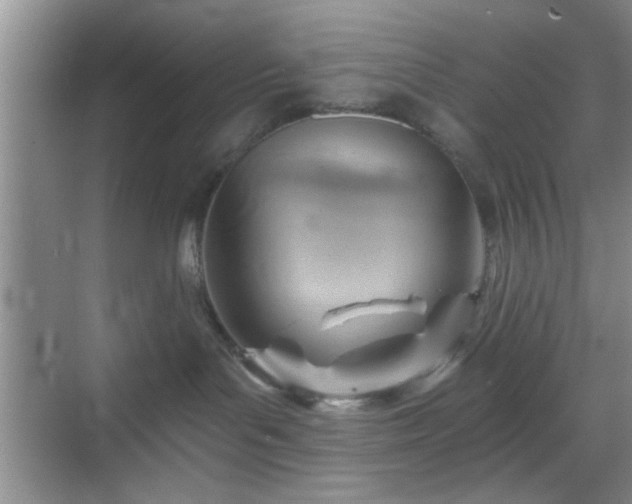 X0000068830143200605081223