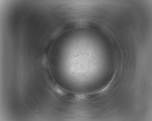 X0000068830144200605081223