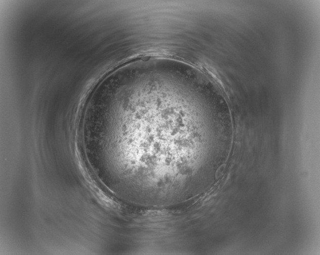 X0000068830145200605081222