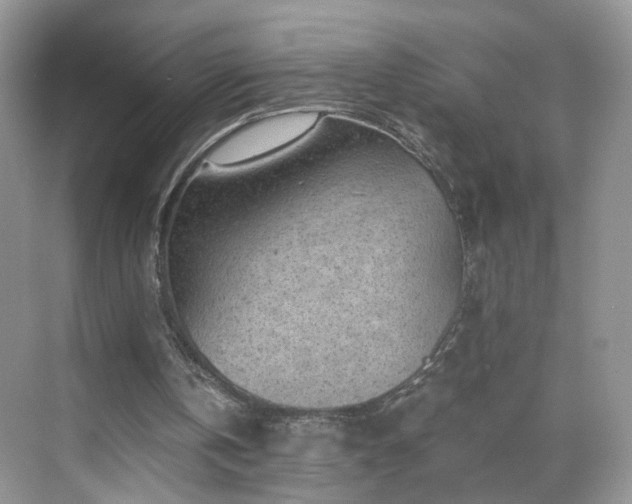 X0000068830146200605081222