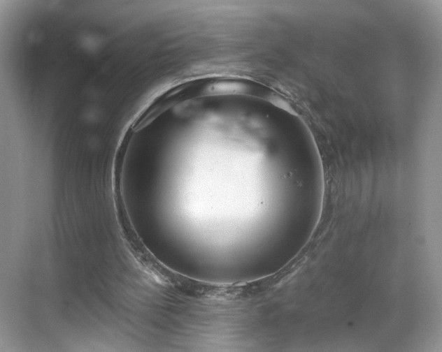 X0000068830148200605081222