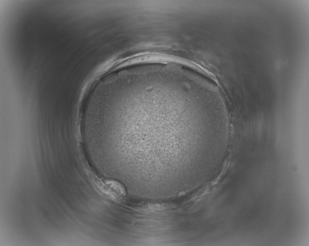 X0000068830149200605081222