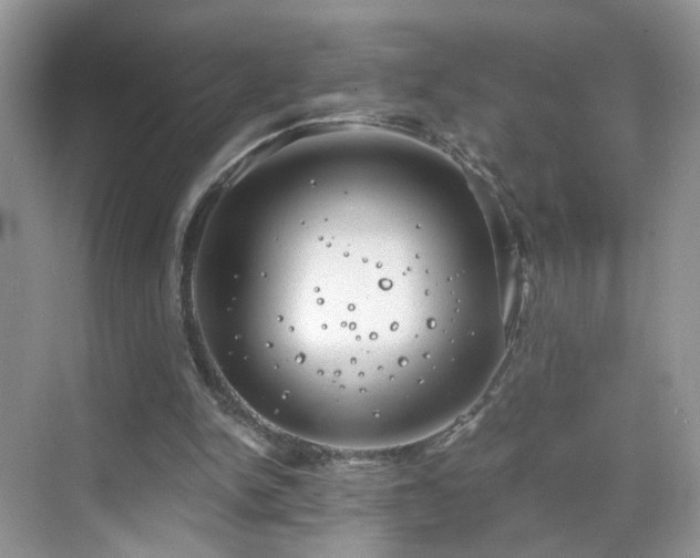 X0000068830150200605081222