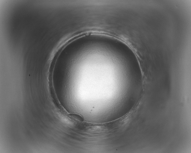 X0000068830151200605081222