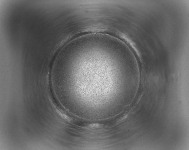 X0000068830153200605081222