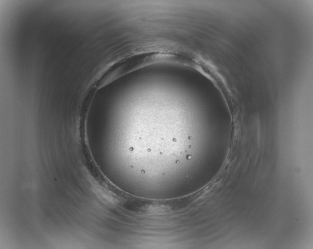 X0000068830154200605081222