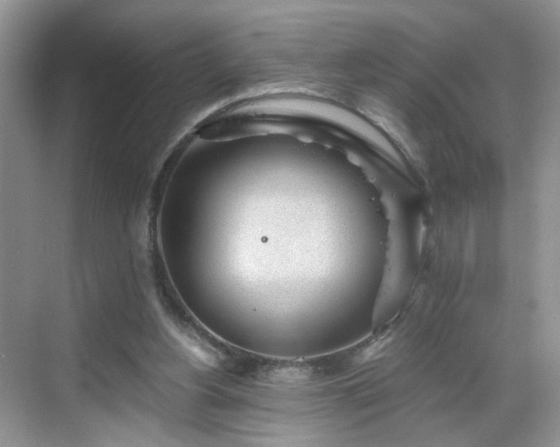 X0000068830156200605081222