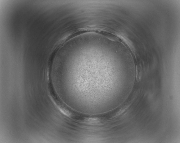 X0000068830157200605081222