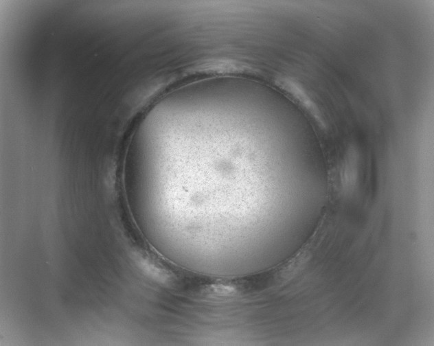 X0000068830159200605081222