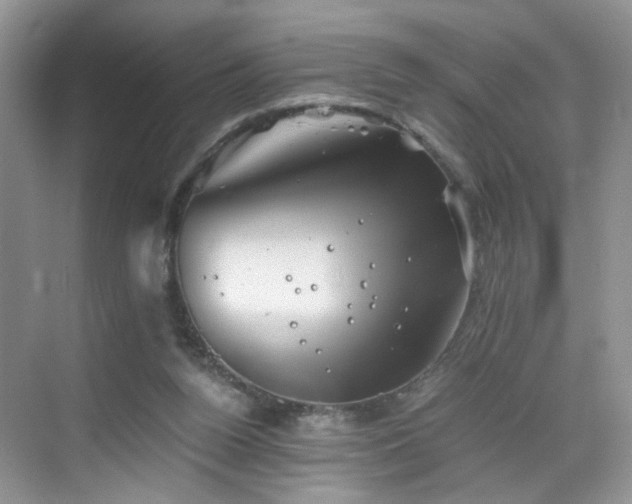 X0000068830160200605081222