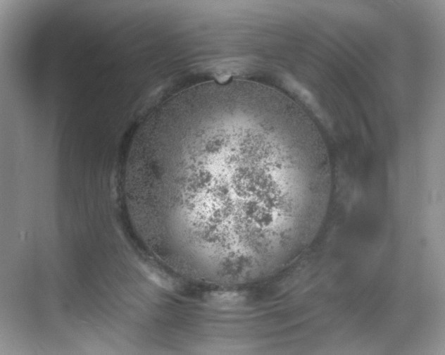 X0000068830161200605081222