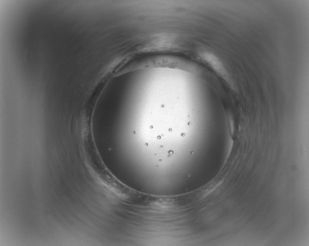 X0000068830164200605081222