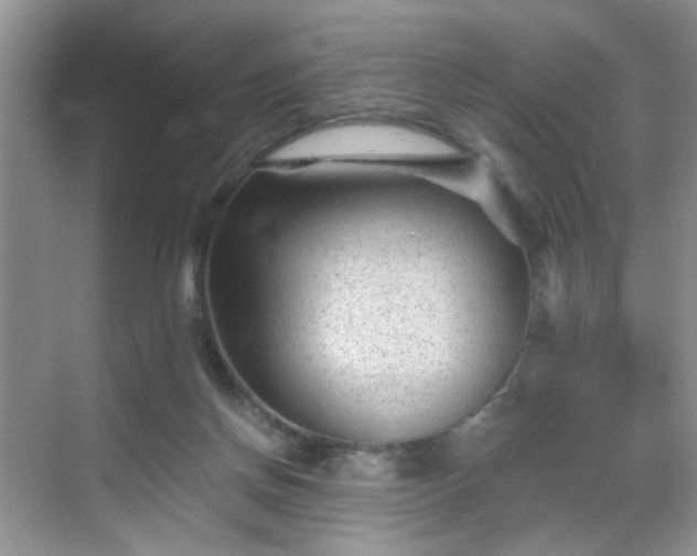 X0000068830166200605081222