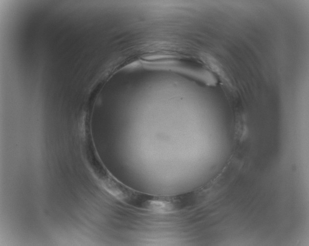 X0000068830167200605081222