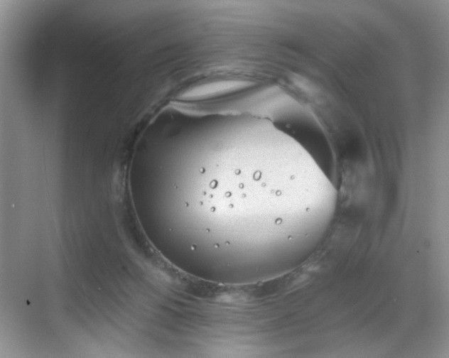 X0000068830168200605081222