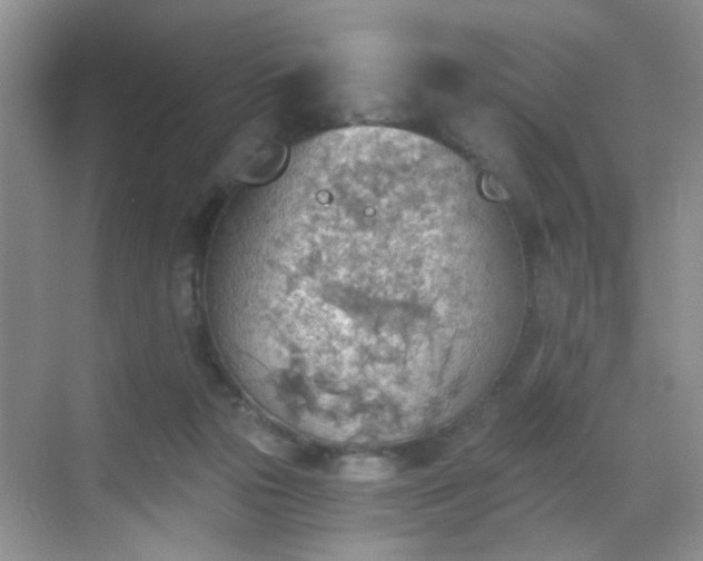 X0000068830169200605081222