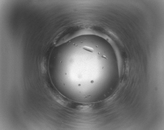 X0000068830170200605081222