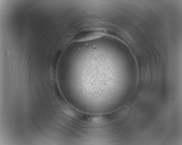 X0000068830173200605081223