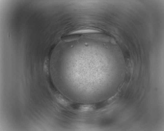 X0000068830175200605081223