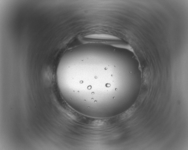 X0000068830176200605081223