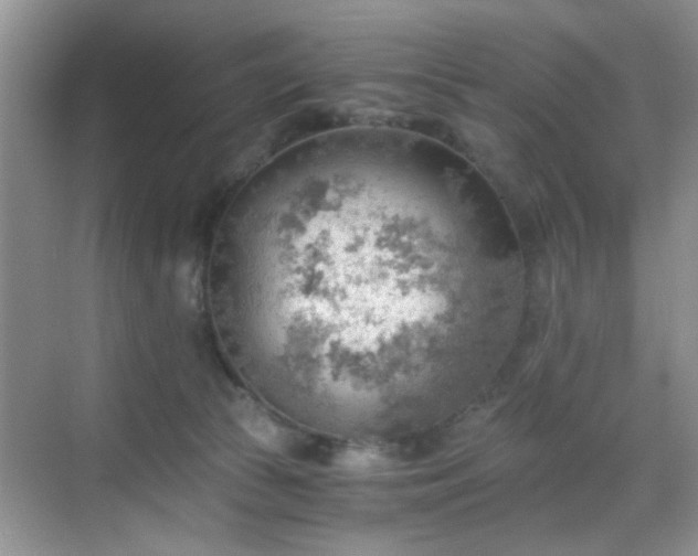 X0000068830177200605081223