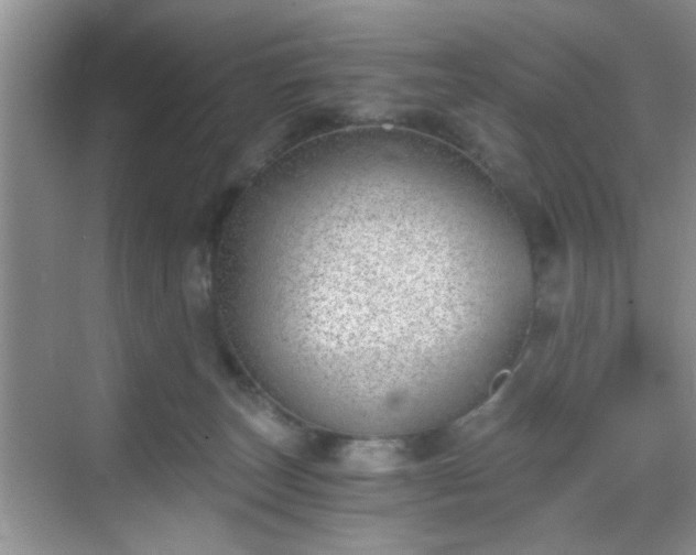 X0000068830179200605081223