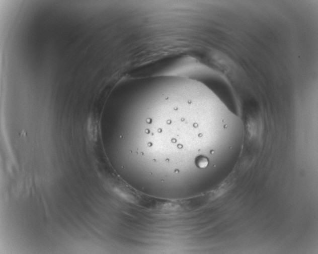 X0000068830180200605081223