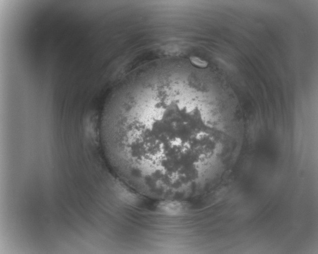 X0000068830181200605081223